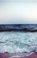 33638_beach-fun-horizon-ocean-Favim_com-622796.