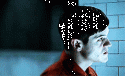 3366tumblr_lu70x2xkxR1r23rn8o2_250.