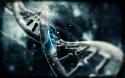 3371_dna-strand-3d-hd-wallpaper-1920x1200-2420.