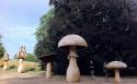 33807_kew_2.