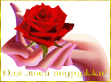34013_99009034.