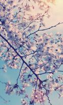 3402_teisti-crop2.