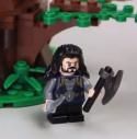 34175_TOrin_lego_2.