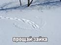 34274_images.