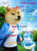 34317_laksa_doge.