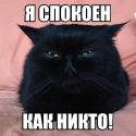 34428_sEfoJ5qiLDE.