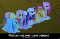 344594994_-_applejack_caption_fluttershy_mane_six_pinkie_pie_rainbow_dash_rarity_twilight_sparkle_wet_mane.