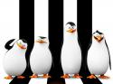 34549_kinopoisk_ru-Penguins-of-Madagascar-2471182--w--800.