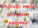 34558_Bezymyannyi.