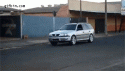 3456dog_driving_a_car.