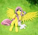 34617_91887__UNOPT__safe_fluttershy_artist-balderdash999.