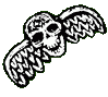 34667_SkullFlying1.