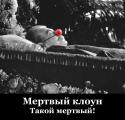 34745_Kloun.