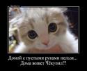 34802_EWiNflF_Gdo.