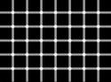3496299.