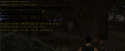35023_Snimok_11.