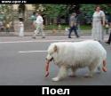 35111_foto16601660.