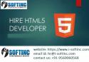 35137_hire-HTML5-Developer-in-Chandigarh.