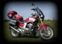 35165_KINLON.