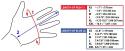 35274_giro-gloves-men.
