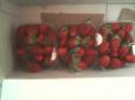 35286_Foto0671.