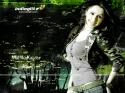 3531MallikaKapoor150208_1024_1.