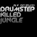 3534drumstepkilledjungle.