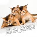 35361_Adam_Moran1.