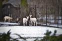 3545DSC_0519-2-small.