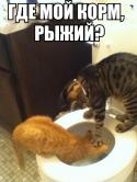 35474_dgqekW4qgjQ.
