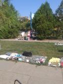 35516_2014-08-03_10_06_31.