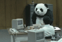 35668_its-time-to-stop-posting-panda-stfu-6bb61e3b7bce0931da574d19d1d82c88-1400.