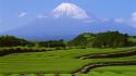 3582fuji-mountain-1920-1080-5586.