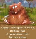 35907_74VAMJKmbMo.