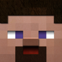 35910_1368356922_realistic_minecraft_steve_s_head_by_dante231-d64r5fu.