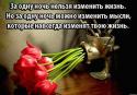 35920_23p4EPoi064.