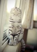 35960_WWbv_7rFnug.