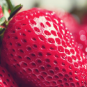 35988_tumblr_m8nldkAoGd1rs48o3o6_250.