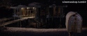 35996_tumblr_m8gueySz0M1rrh86co2_1280.