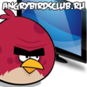 35998_40ava.