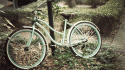 36065_animated_photography_04.