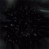 36073_bum2.