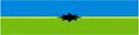 36135_Thorez_flag_1-2.