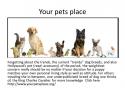 36174_Your_pets_place.