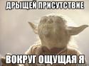 36426_yoda_29947902_orig_.