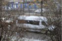 36531_anigif.