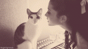 36683_ariana-grande-cat-kiss-rejected-funny-cute-lol.