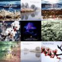 3668_1356863377_plexus-relax.