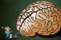 36736_brain_pumping_357555.