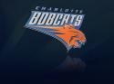 36821_1232878538_nba_charlotte_bobcats_logo.